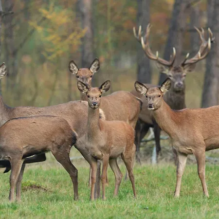 Hotel De Hoeve Nunspeet