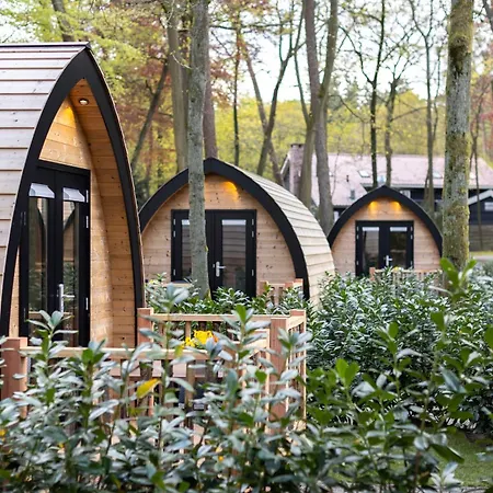 De Hoeve فندق نونسبيت
