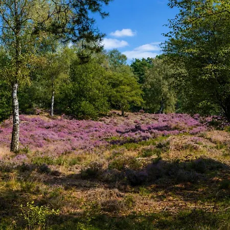 De Hoeve 3*