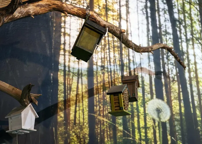 De Hoeve 3* נונספייט