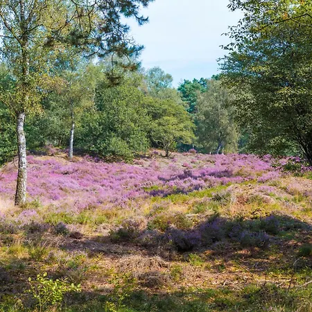 호텔 De Hoeve 넌스피트